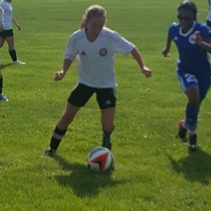 Meet your Posher, Allie